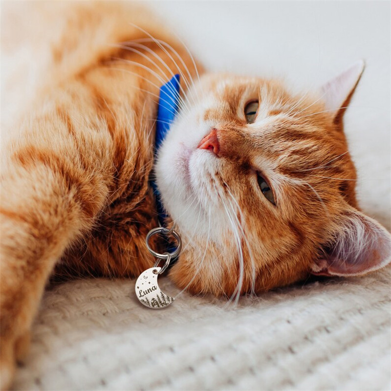 Personalized Moon Pet ID Tags Woods and Stars Dog Cat Tag Custom Name Number Dog ID Collar for Puppy Kitten Pet Accessories