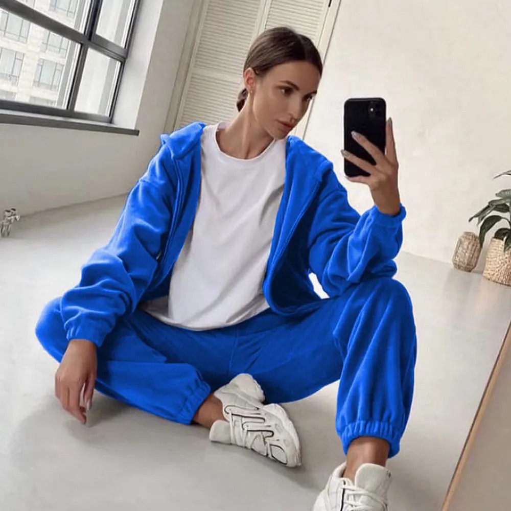 Spring Womens Velvet Fabric Tracksuits Velour Hoody Track Suit Hoodies and Pants Oversized Sportswear Two Pieces Set 241010