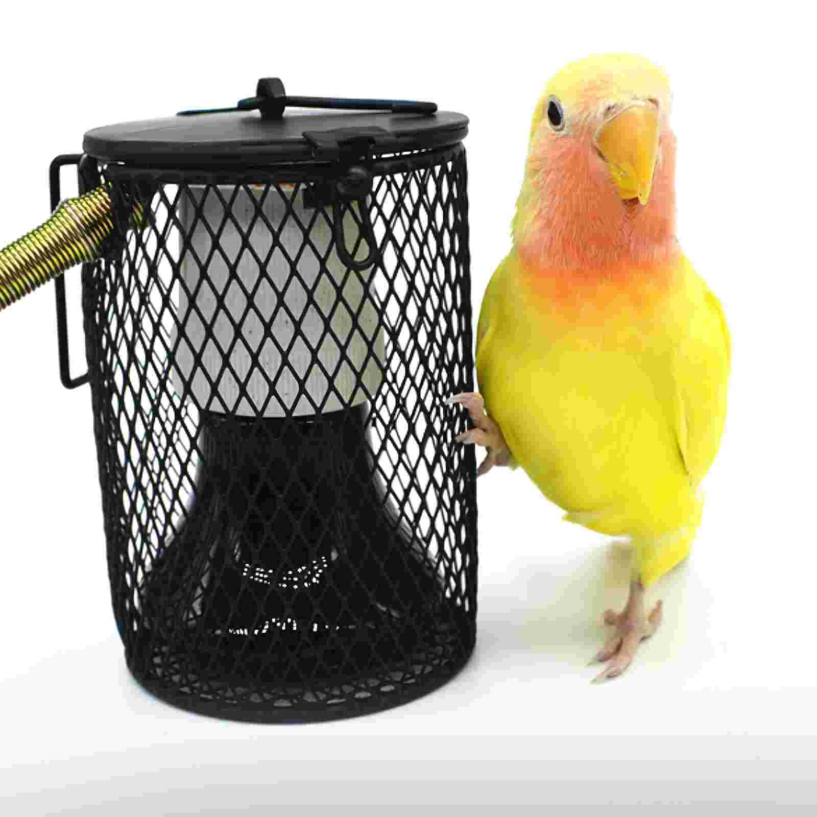 Lamp Net Heater Grille Night Light Bulb Chick Metal Rooster Lampshade for Reptiles Protection
