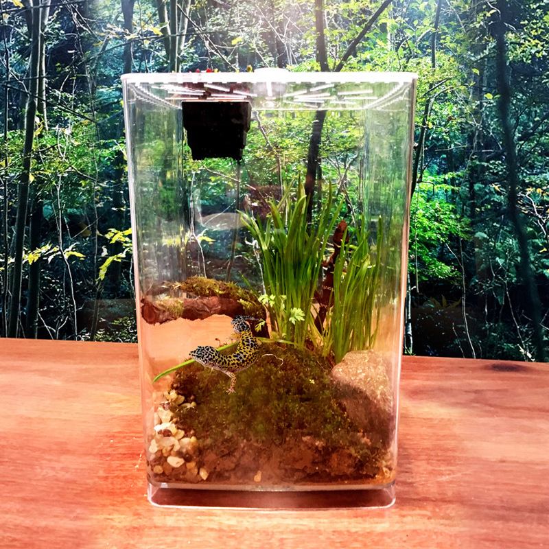 Clear Acrylic Insect Feeding Box Small Reptile Breeding Box Reptile Feeding Container Aquarium Breeding