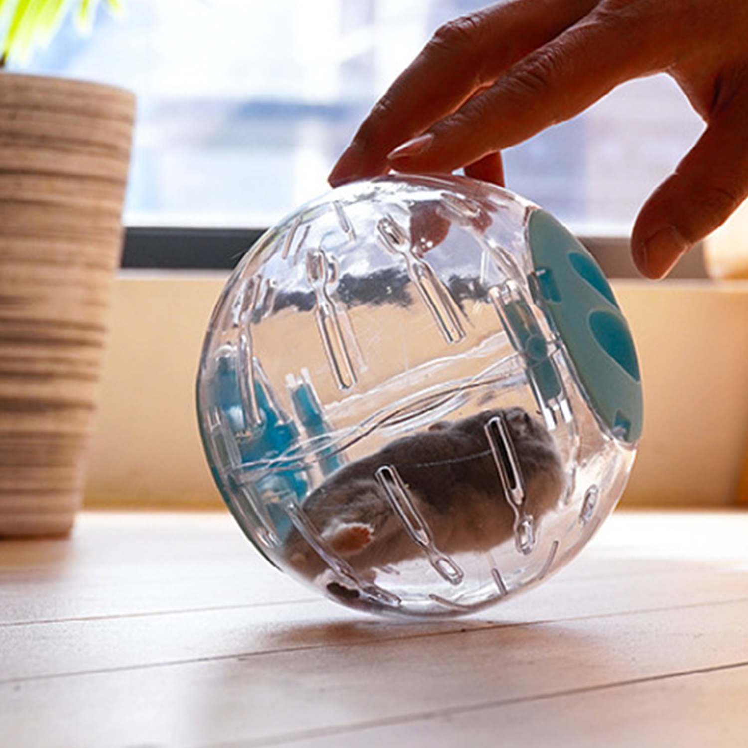 Small Pet Hamster Running Ball with Leash Exercise Toy Household Running Jogging Toy Hamster Spinning 12cm