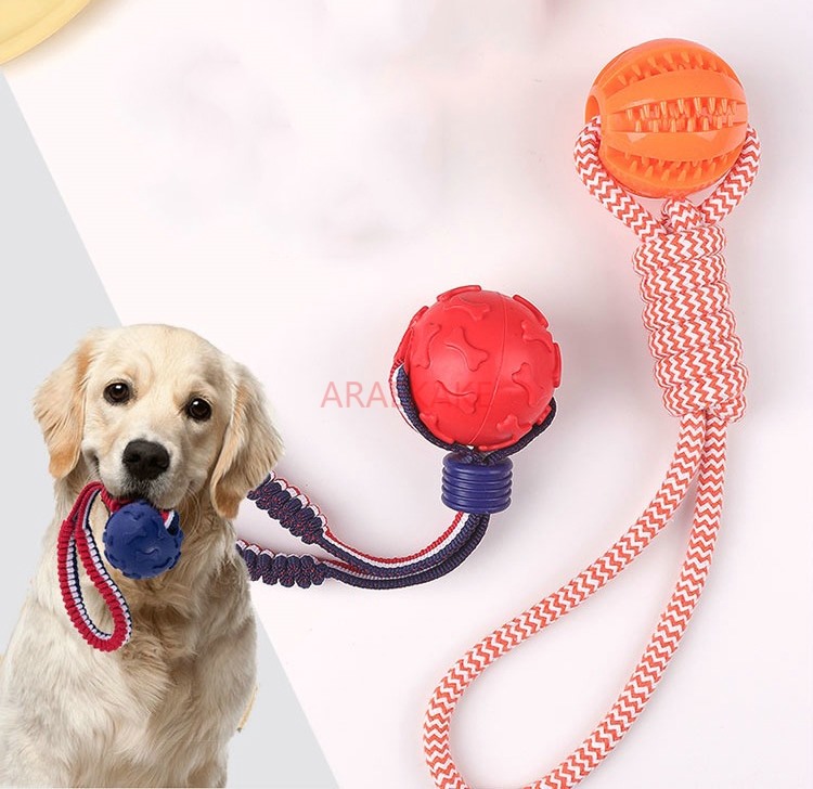 1PCS Dog toy ball, gold haired large dog bite resistant training ball, interactive dog training ball with rope, pet supplies