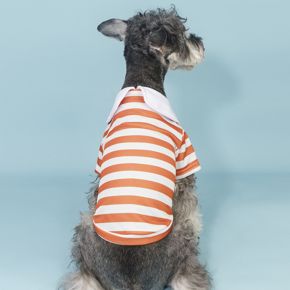 1 Piece Striped POLO Shirt Dog Clothes, Pet Dog T Shirt Clothes, Comfortable and Breathable, Casual and Cute Pet Tops