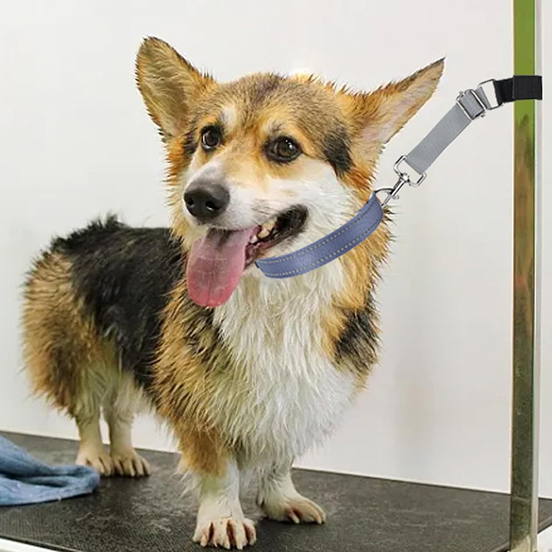 Pet Grooming Kit Dog Loop Extension Belt Lasso Helper Showering Cord Rope Portable Traction Belt Adjustable D-Rings Harness