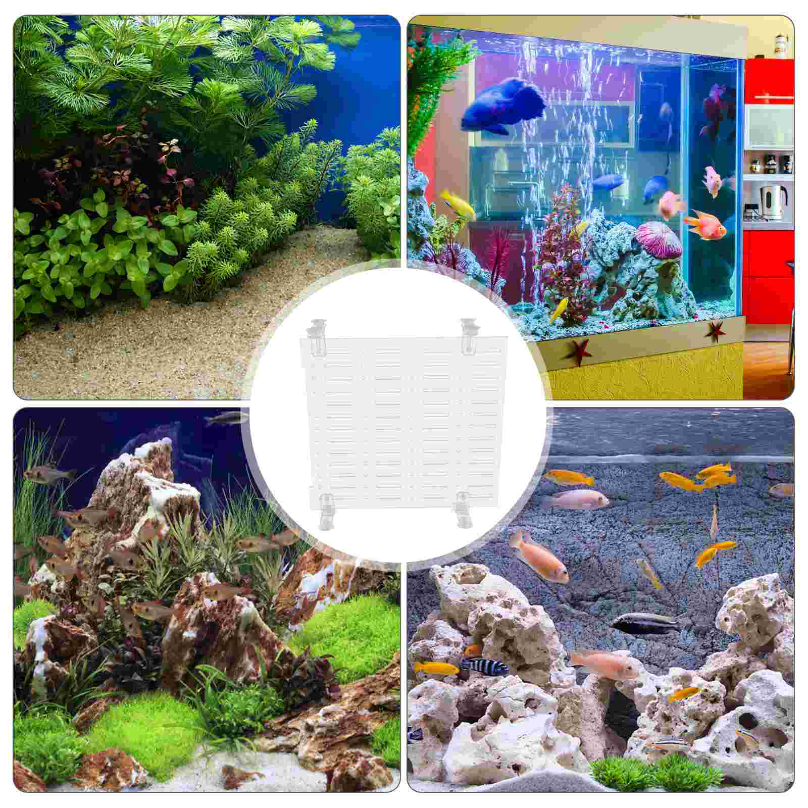 Fish Tank Isolation Board Separator Clear Dividers Bowl Aquarium Acrylic Plate Dividing Line