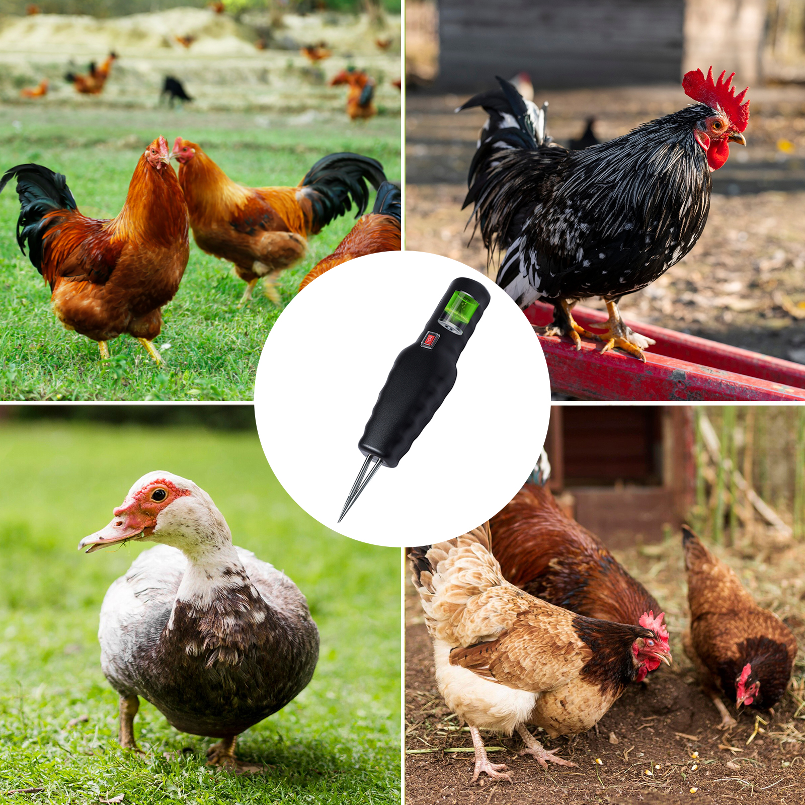 Electric Handheld Chicken Quick Poultry Plucker Portable Feather Plucking Removal Machine Chicken Duck Goose Automatic Epilator