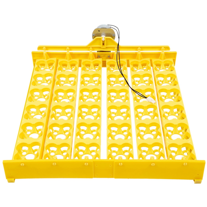 AAAC-36 Eggs Automatic Incubator Egg Tray Egg Incubator 220V Motors Home Mini Incubation Equipment Chicken Farm Poultry Hatching