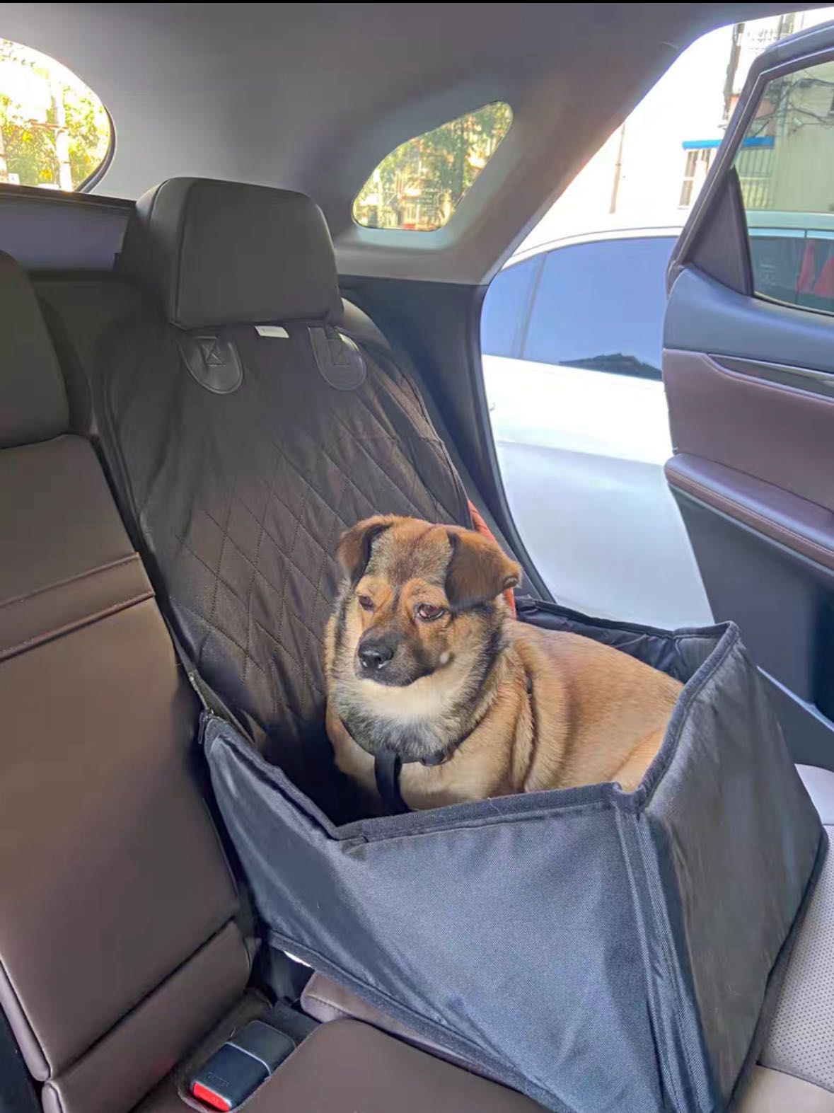 Dog Car Seat Waterproof Hammock Carrier Outdoor Travel Safe Cat Wear-resistant Cover Basket Pet Dogs Accessories Universal Cars