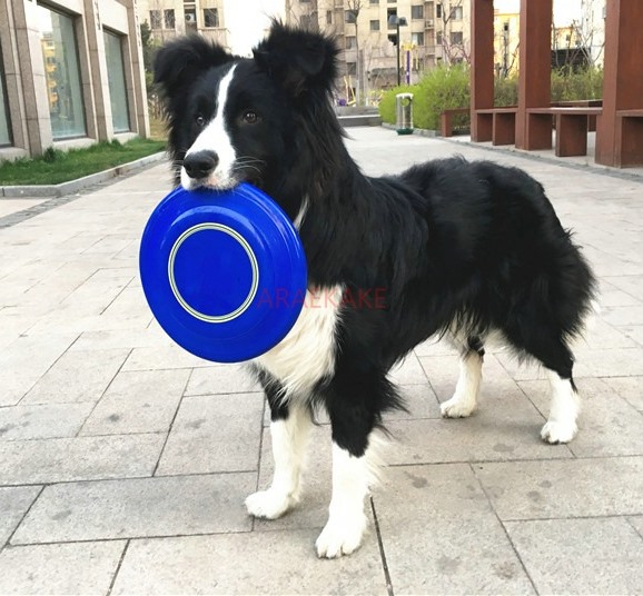 1PCS dog special pet dog supplies border collie toy bite resistant training soft toy