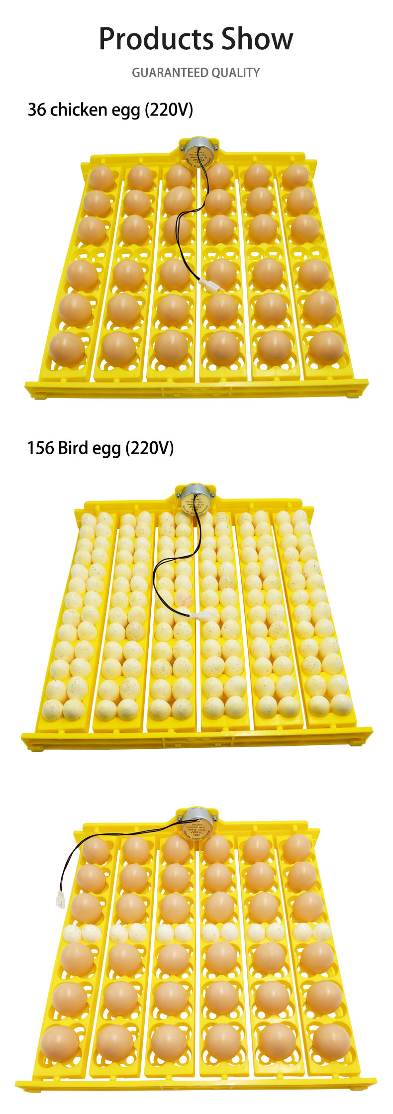 24 Eggs Tray Incubator Turner Automatically Egg Plates Turn Eggs Poultry Incubation Equipment for Chicks Ducks Bird
