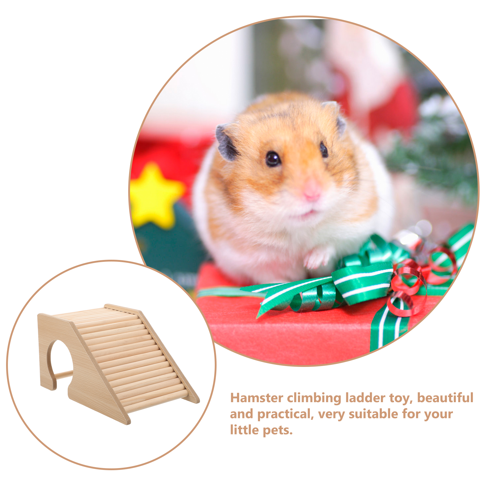 Hamster House with Ladder Climbing Ladder For Hamster Gerbils Mice Or Similar-sized Pets