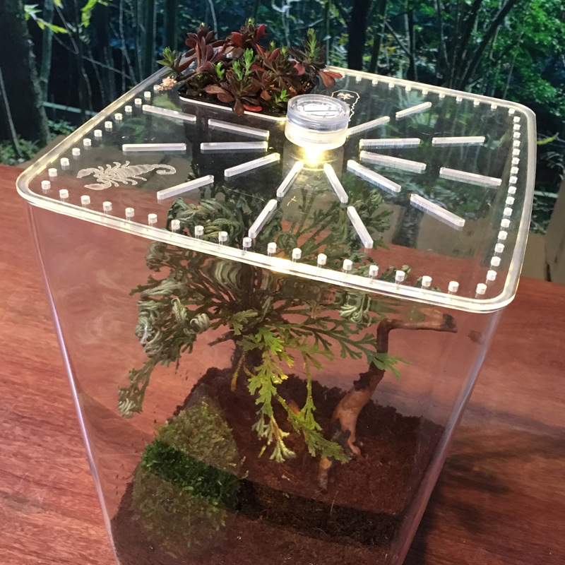 Clear Acrylic Insect Feeding Box Small Reptile Breeding Box Reptile Feeding Container Aquarium Breeding