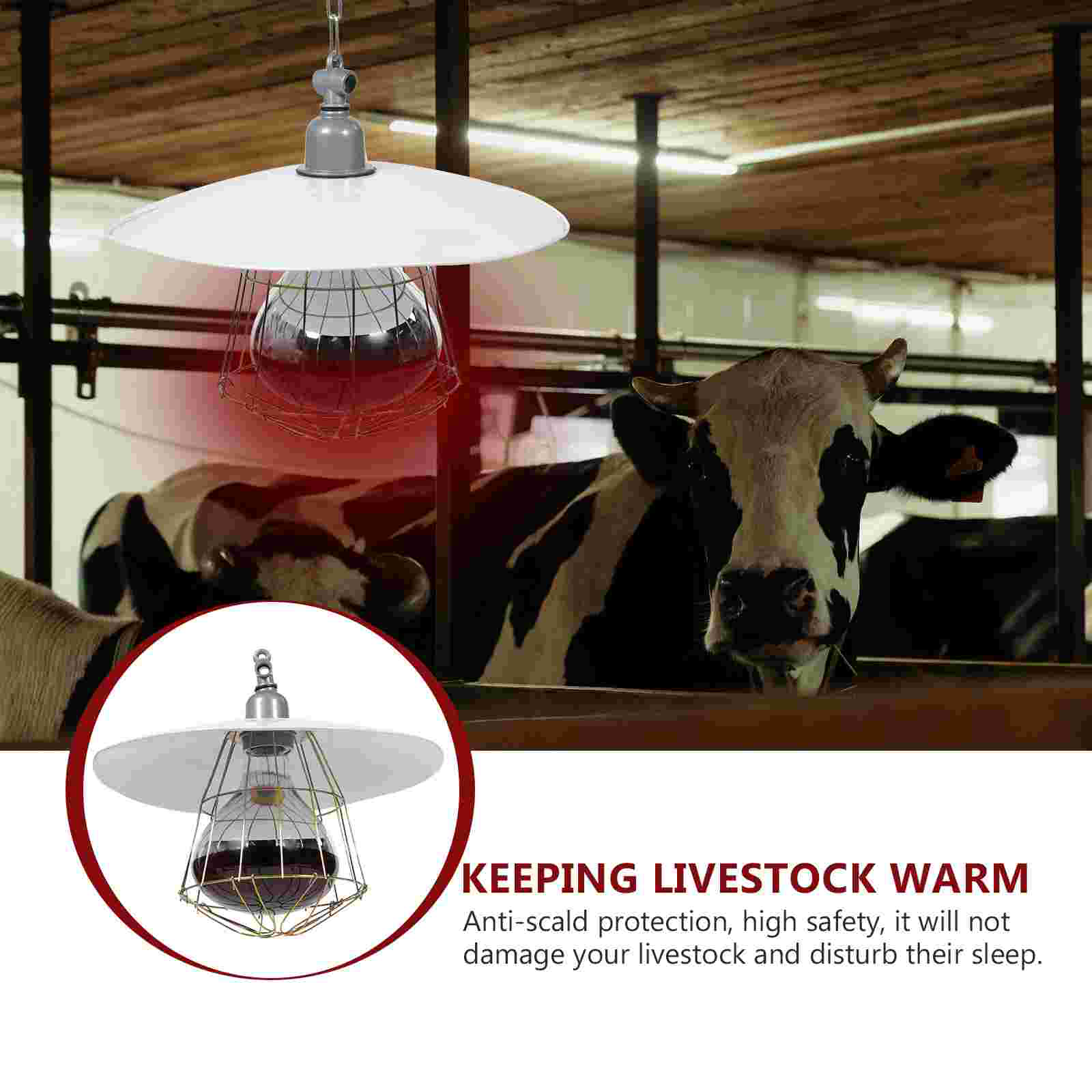Heat Lamp Set Convenient Heating Cage Light Reptile Warmer Small Pig Accessory Livestock Baby Playpen