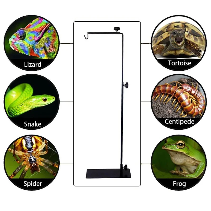 Reptile Heating Lamp Holder Turtle Lizard Snake Basking Lamp Accessories Insulating UVA E27 Lamp Stand Reptile Spotlight Cover