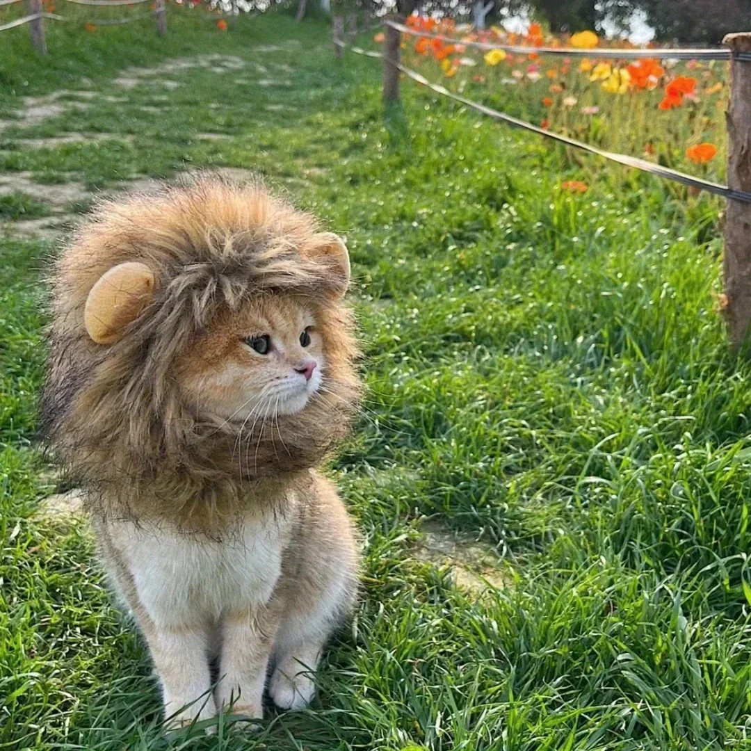 Adorable Lion Mane Costume for Cats - Durable, Comfy & Perfect for Parties, Photo Ops Dog Hat