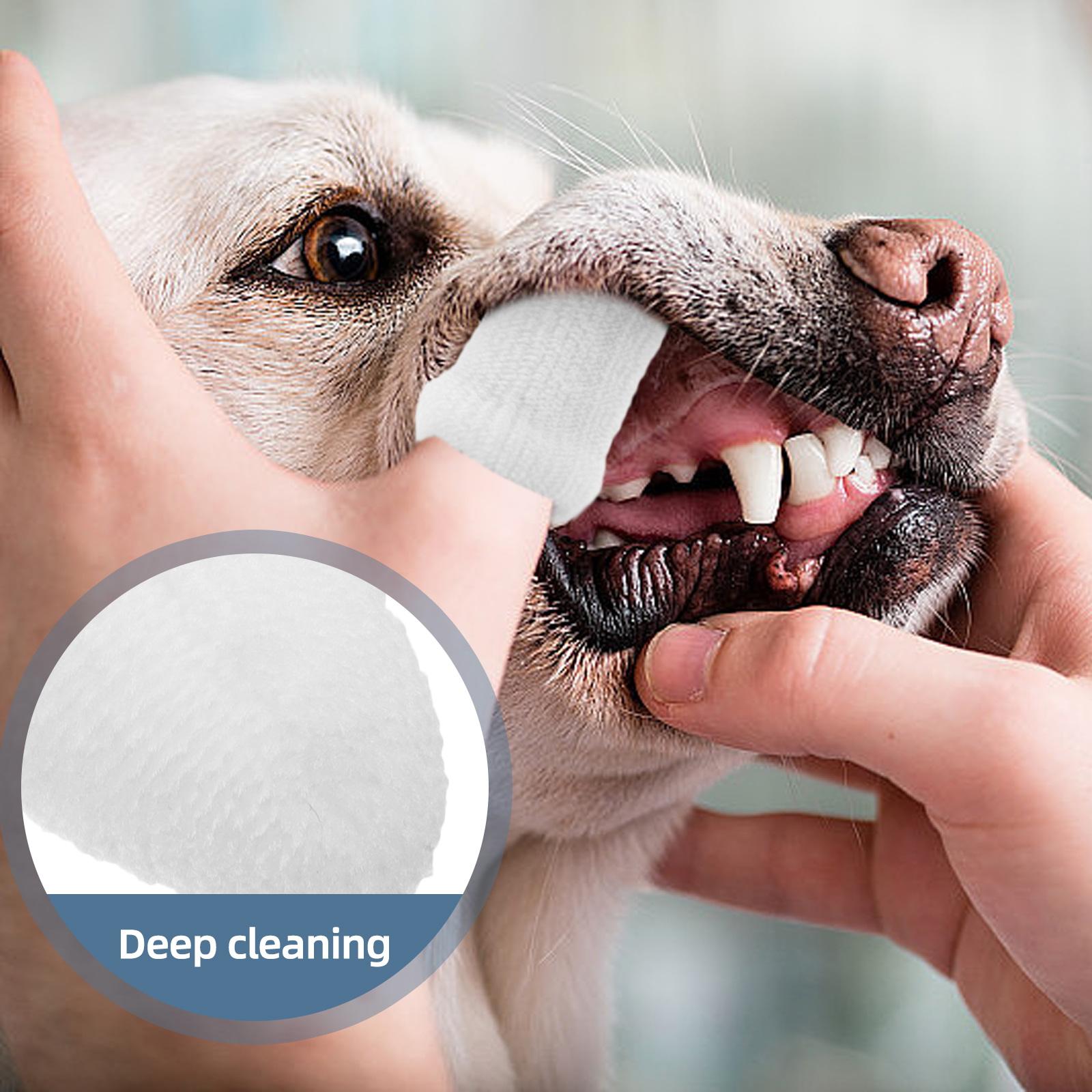 10 Pcs Pet Cleaning Finger Cots Wipes Dog Toothbrush Small Dogs Teeth Doggy Nylon