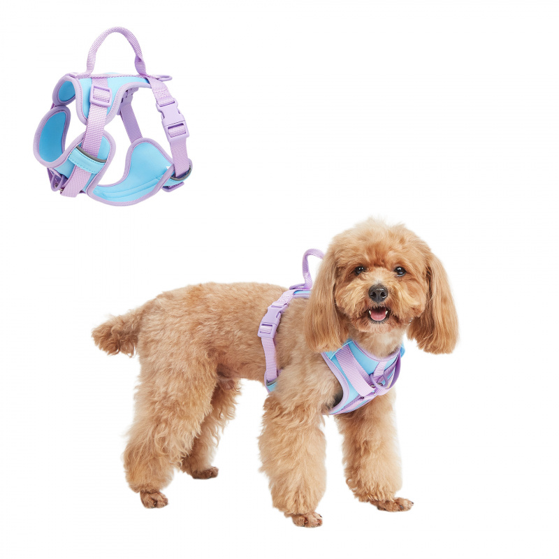 New Dog Breast Strap Breathable Comfortable Soft Pet Vest Durable Wear-Resistant Dogs and Cats Supplies