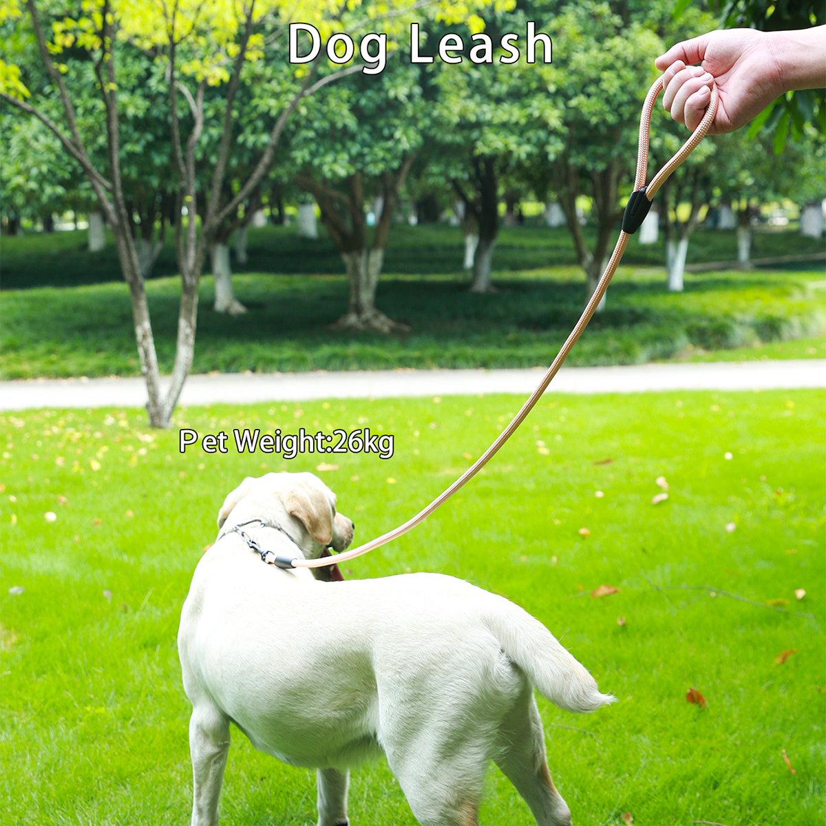 1Pc Pet Leash, Easy to Control, Comfortable to Hold Six Colors