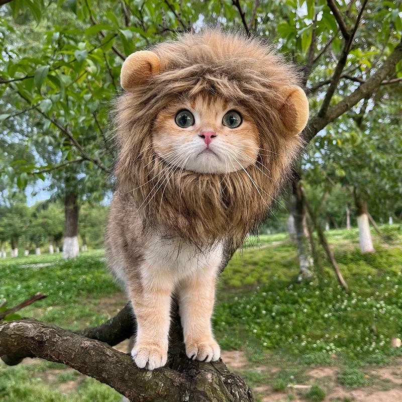 Adorable Lion Mane Costume for Cats - Durable, Comfy & Perfect for Parties, Photo Ops Dog Hat