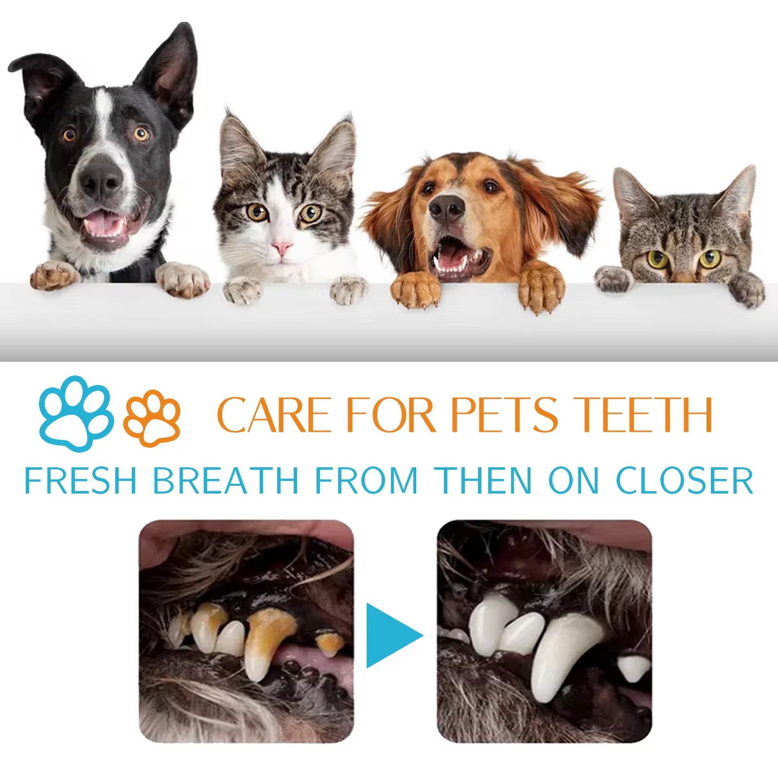 Pet Teeth Cleaning Wipes Disposable Finger Cot Tartar Cochlear Remover Gentle Gum Bad Breath Cleaner Dog Dental Cleaning Towel