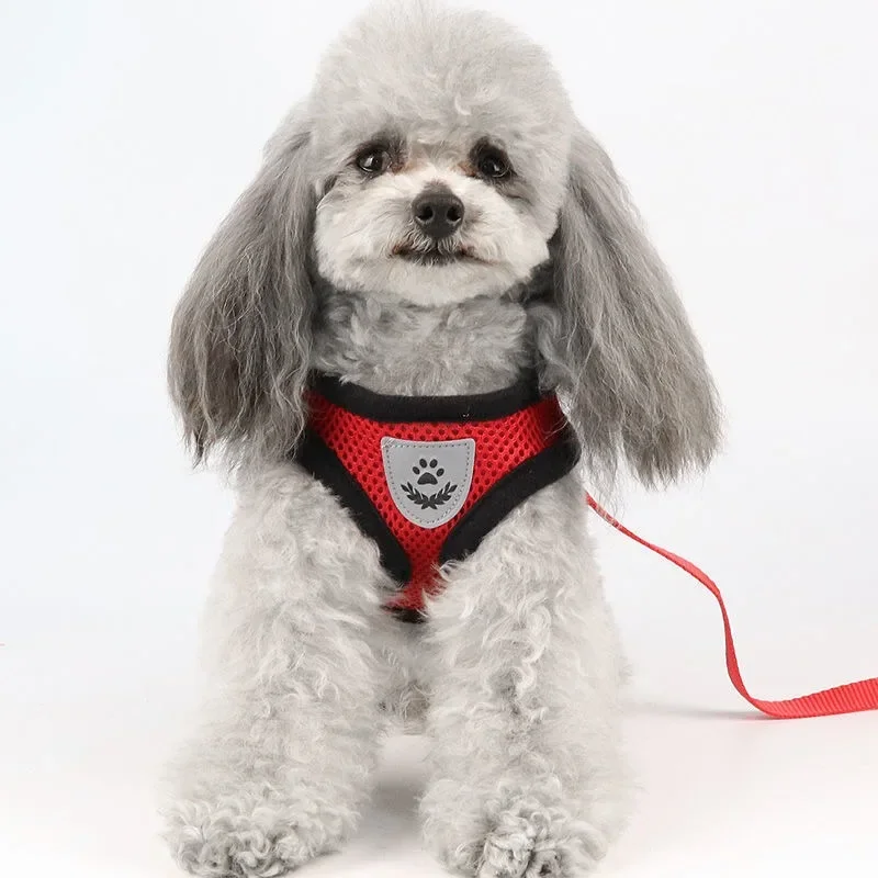 Pet Cat Carrier Leash For Walking Anti-Escape Adjustable Mesh Vest Dog Accessories for Puppies Small And Medium-sized Dogs