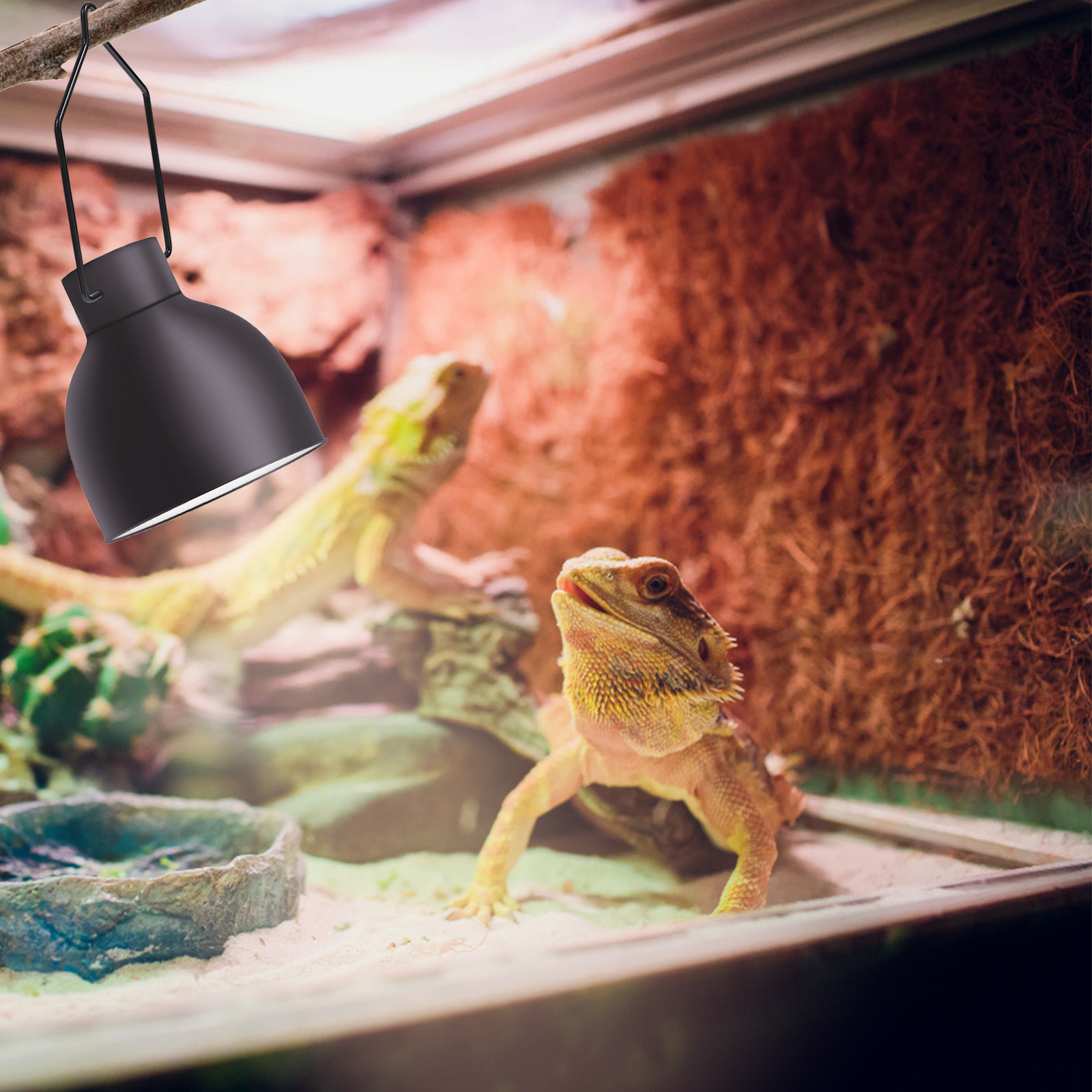 Reptile Lamp Clips Heat Holder Lampshade Animal Climbing Pets Light Clamps Metal Accessories