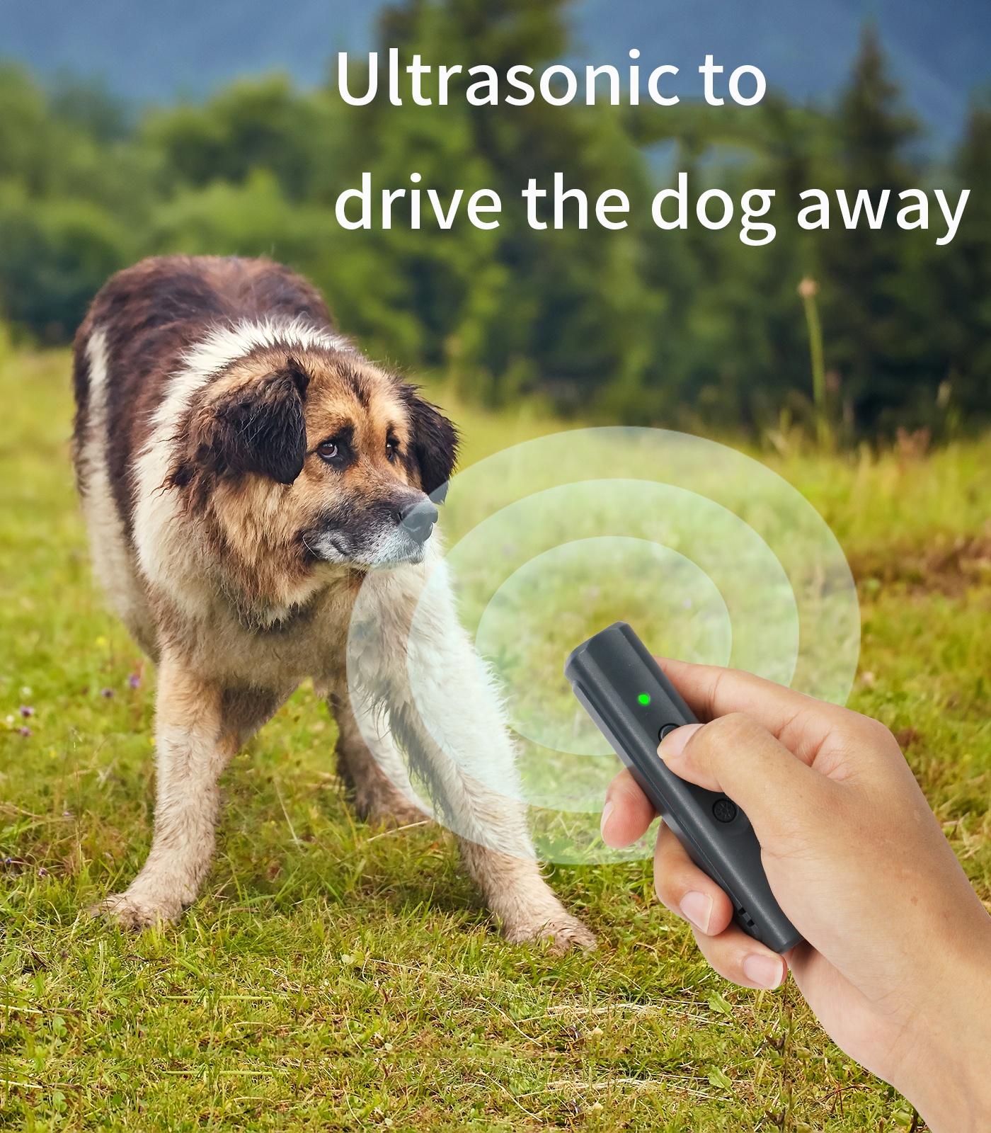 N11 5-10m Dog Bark Deterrent Outdoor Sonic Repellent Anti Barking Control Ultrasonic Dog Training Device
