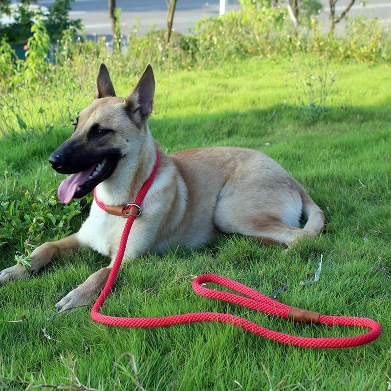 Dog Training Leash Heavy Duty Dog Leash Adjustable Lead Leashes Strong Mountain Climbing Rope Leash No Pull Slip Lead Dog Leash