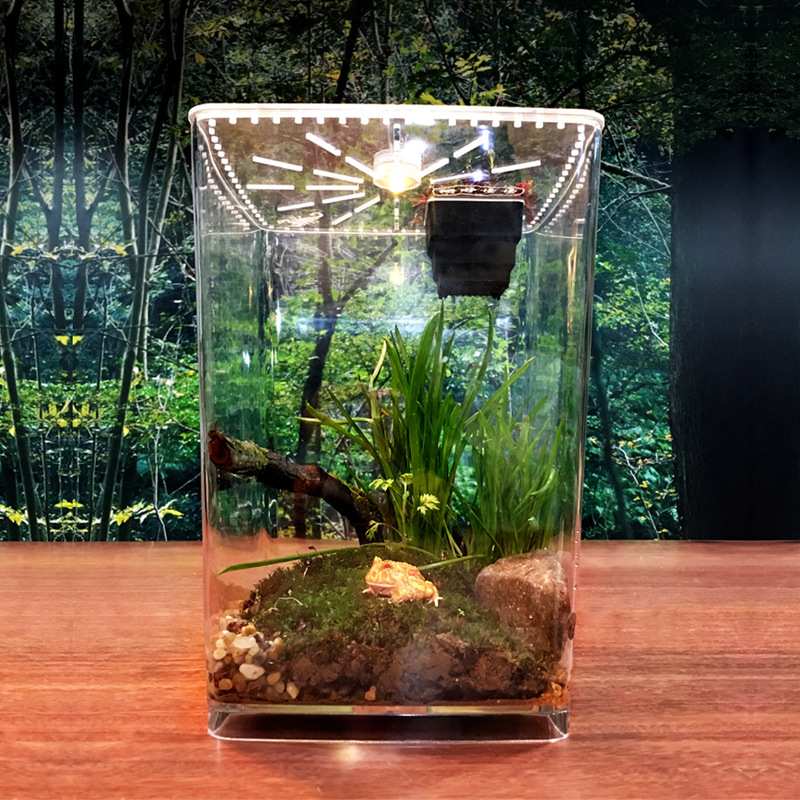 Clear Acrylic Insect Feeding Box Small Reptile Breeding Box Reptile Feeding Container Aquarium Breeding