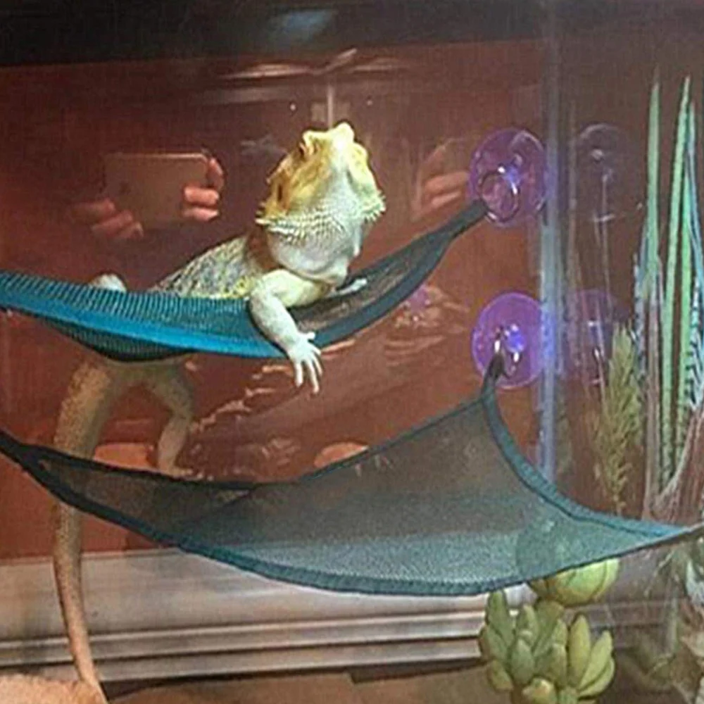Reptile Hammock Lounger Ladder Accessories Set triangular nets For Large Small Bearded Dragons Anole Geckos Lizards Or Snakes