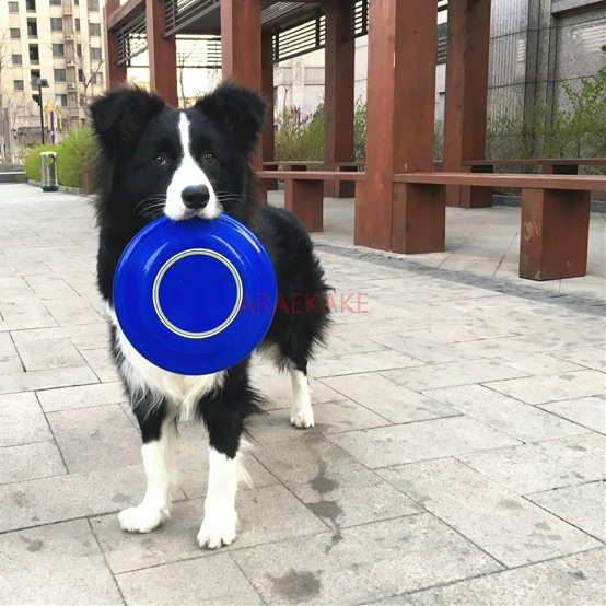 1PCS dog special pet dog supplies border collie toy bite resistant training soft toy