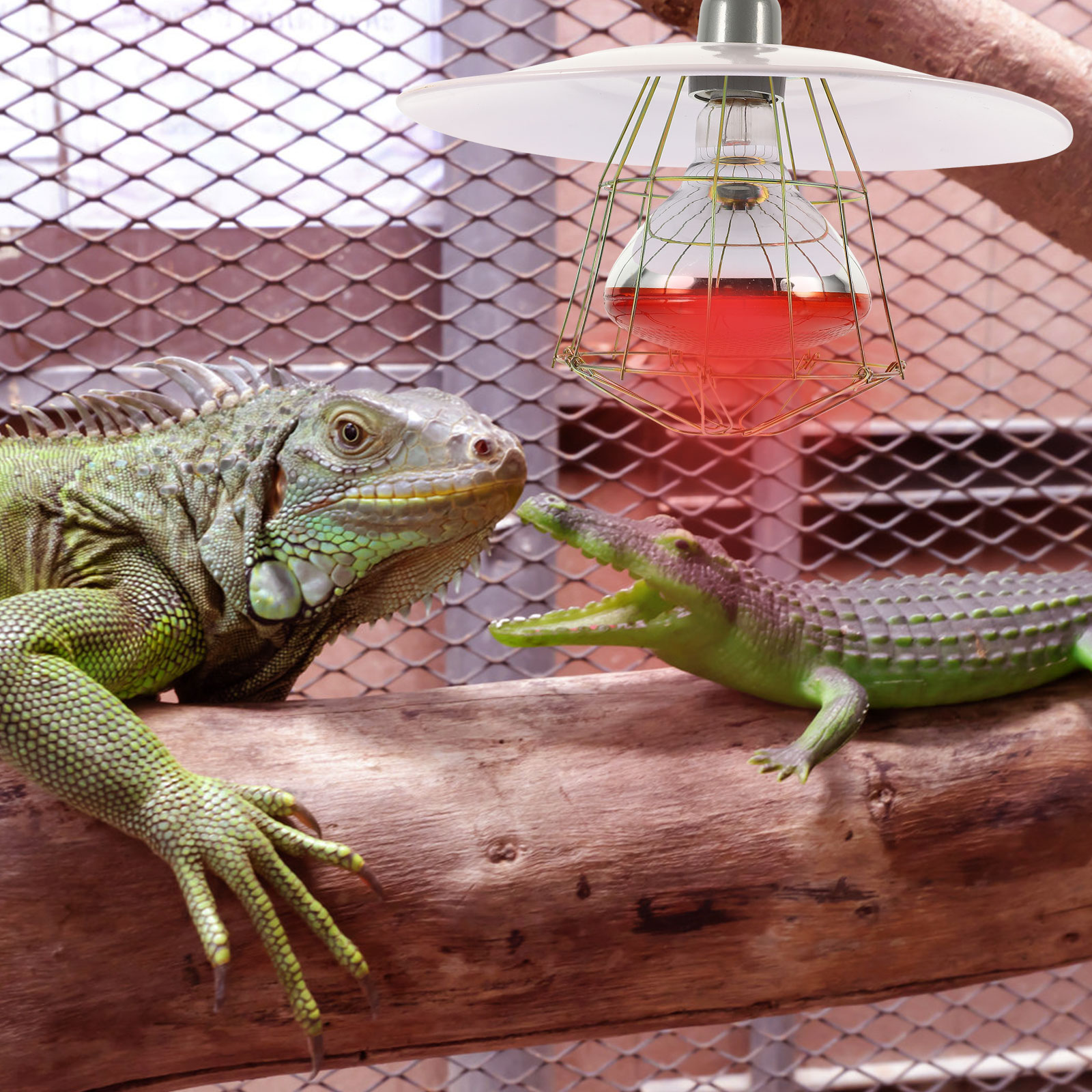 250W Livestock Incubator Box Heating Lamp Little Pig Cage Pet Lizard Warmer Light Pet Warming Lamp 30x20x10cm Random Color