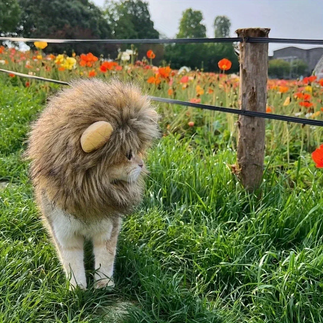 Adorable Lion Mane Costume for Cats - Durable, Comfy & Perfect for Parties, Photo Ops Dog Hat
