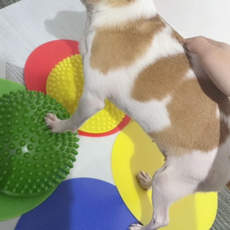 AVC Pet Dog Paw Pad Hemispherical Training Nerve Balance Correction Muscle Atrophy Surgery Knee Patella Lumbar Spine Pet Product