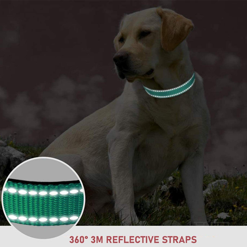 Dog Collar Reflective Strap With Safety Nylon Pet Collar Adjustable Pet Traction Rope Suitable For Small And Medium-Sized Pets