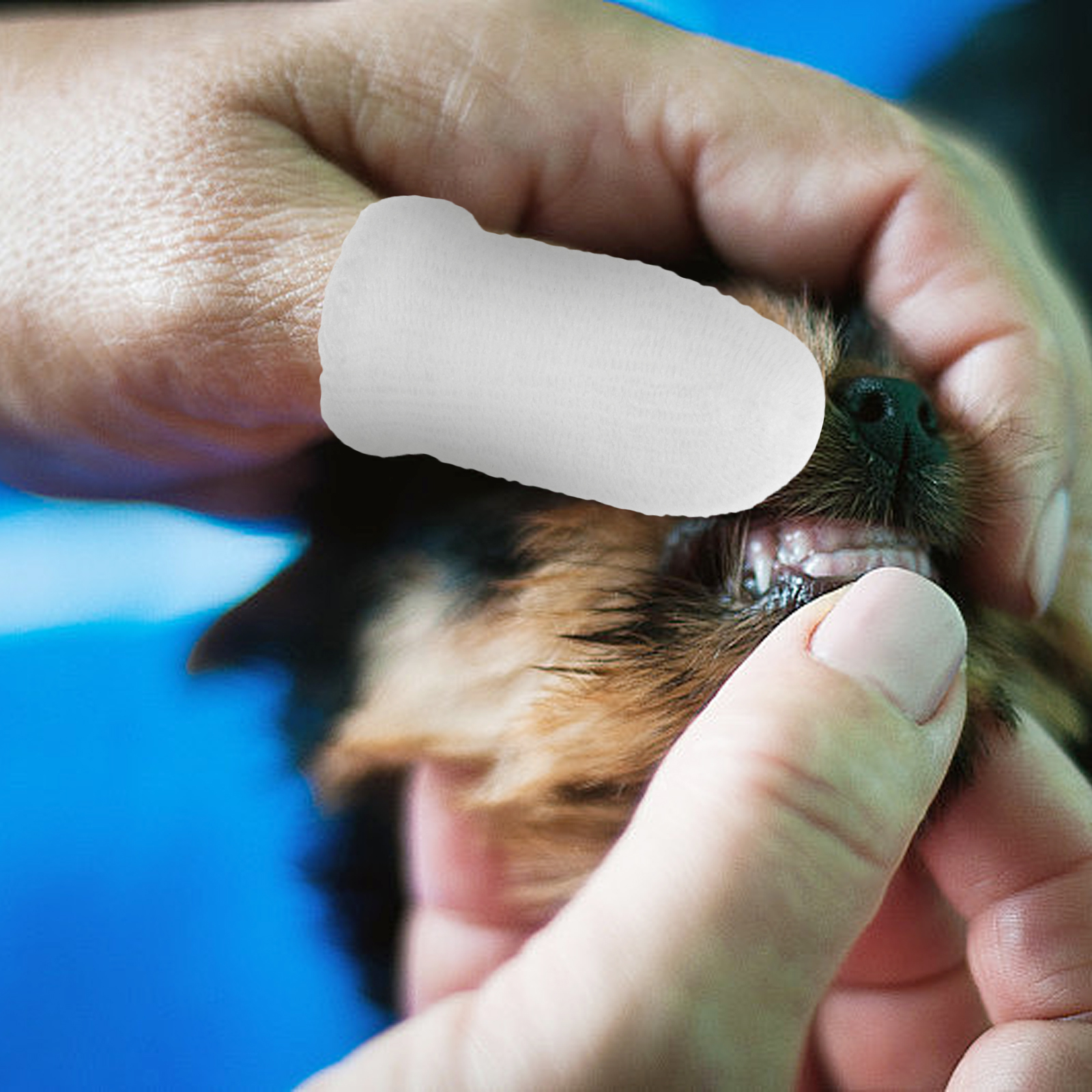 Dog Tartar for Teeth Pet Cleaning Finger Cots Toothbrush Dental Sticks Dogs White