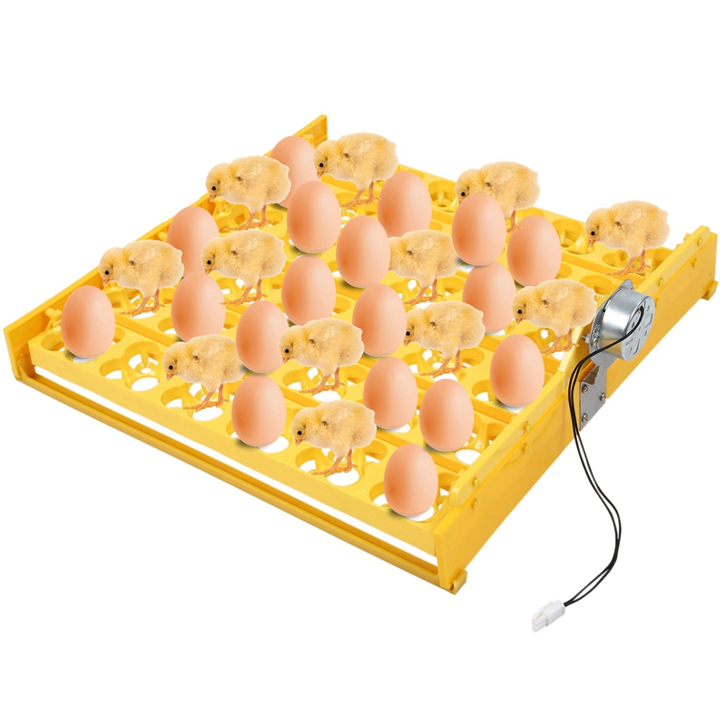 AAAC-36 Eggs Automatic Incubator Egg Tray Egg Incubator 220V Motors Home Mini Incubation Equipment Chicken Farm Poultry Hatching