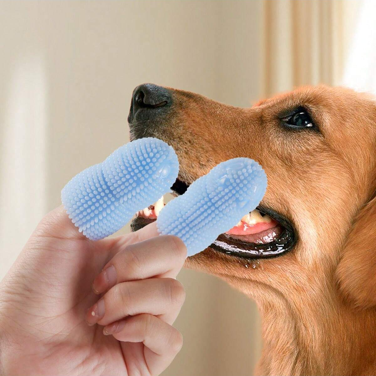 2pcs-Pet Two Finger Toothbrush, Dog Cat Toothbrush, Tooth Cleaning Finger Cover, Pet Oral Cleaning Tool