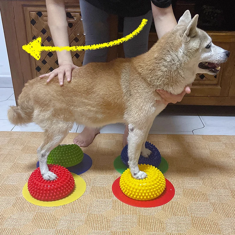 AVC Pet Dog Paw Pad Hemispherical Training Nerve Balance Correction Muscle Atrophy Surgery Knee Patella Lumbar Spine Pet Product