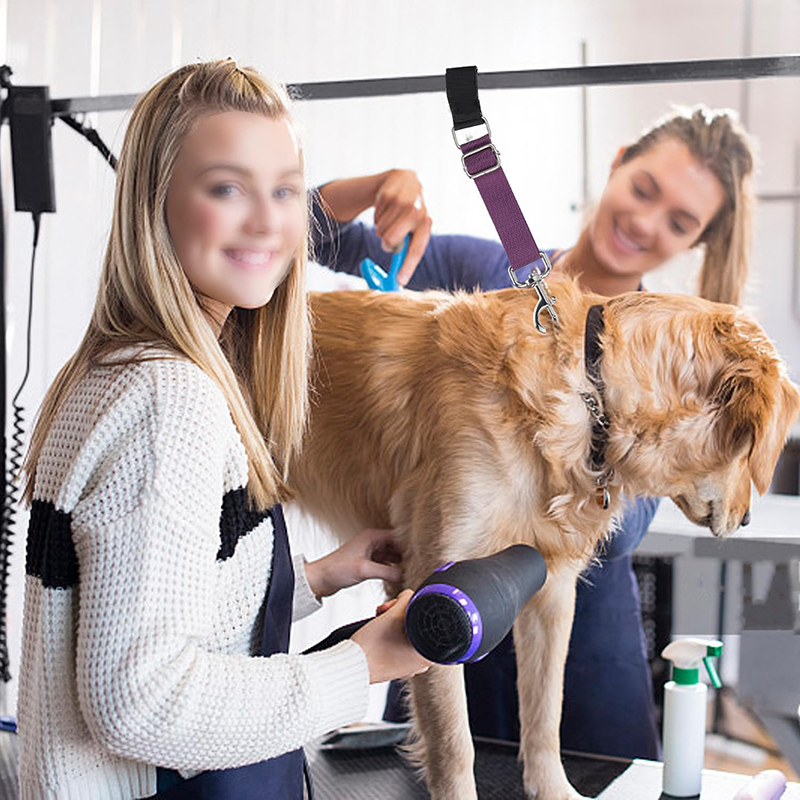 Pet Grooming Kit Dog Loop Extension Belt Lasso Helper Showering Cord Rope Portable Traction Belt Adjustable D-Rings Harness