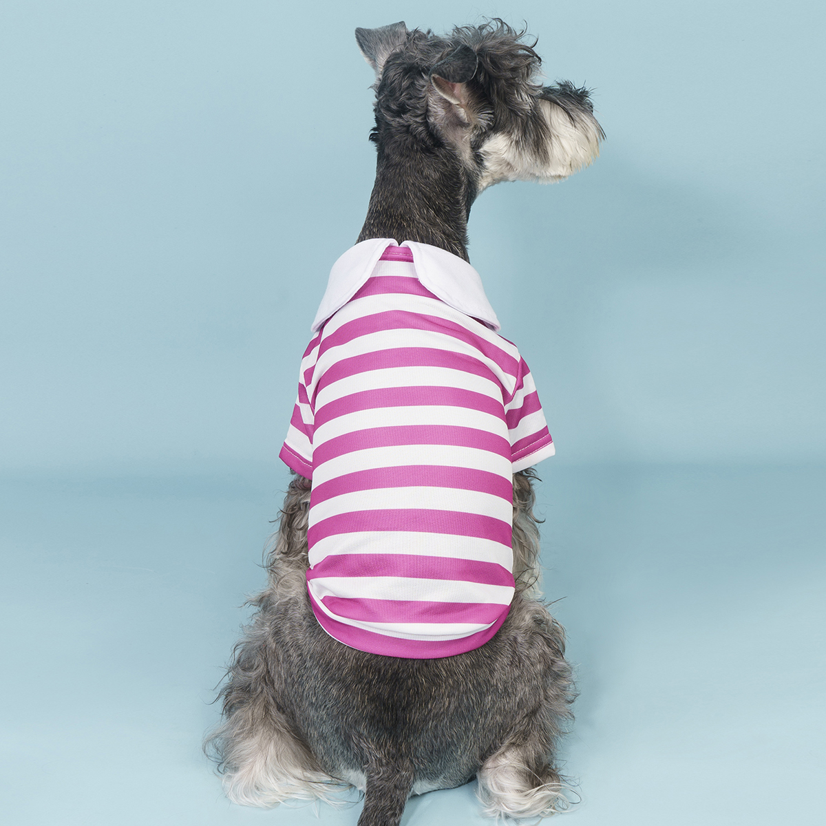1 Piece Striped POLO Shirt Dog Clothes, Pet Dog T Shirt Clothes, Comfortable and Breathable, Casual and Cute Pet Tops