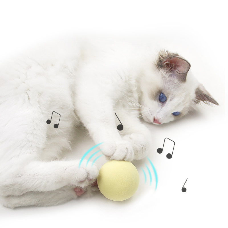 Smart Cat Toys Interactive Ball Catnip Cat Training Toy Pet Playing Ball Pet Squeaky Supplies Pet Product Squeak Toy Ball