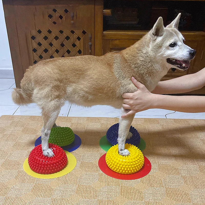 AVC Pet Dog Paw Pad Hemispherical Training Nerve Balance Correction Muscle Atrophy Surgery Knee Patella Lumbar Spine Pet Product