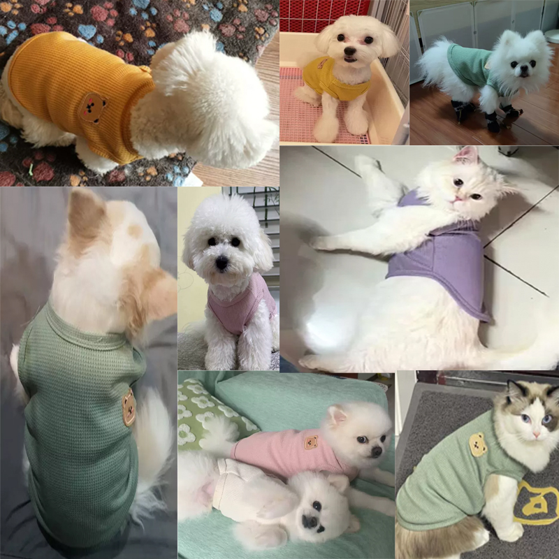 Summer Cat Dog Vest Pet Clothes Puppy T-shirt Breathable Bulldog Clothing Chihuahua French Bulldog Pullover Costumes Kitten Vest