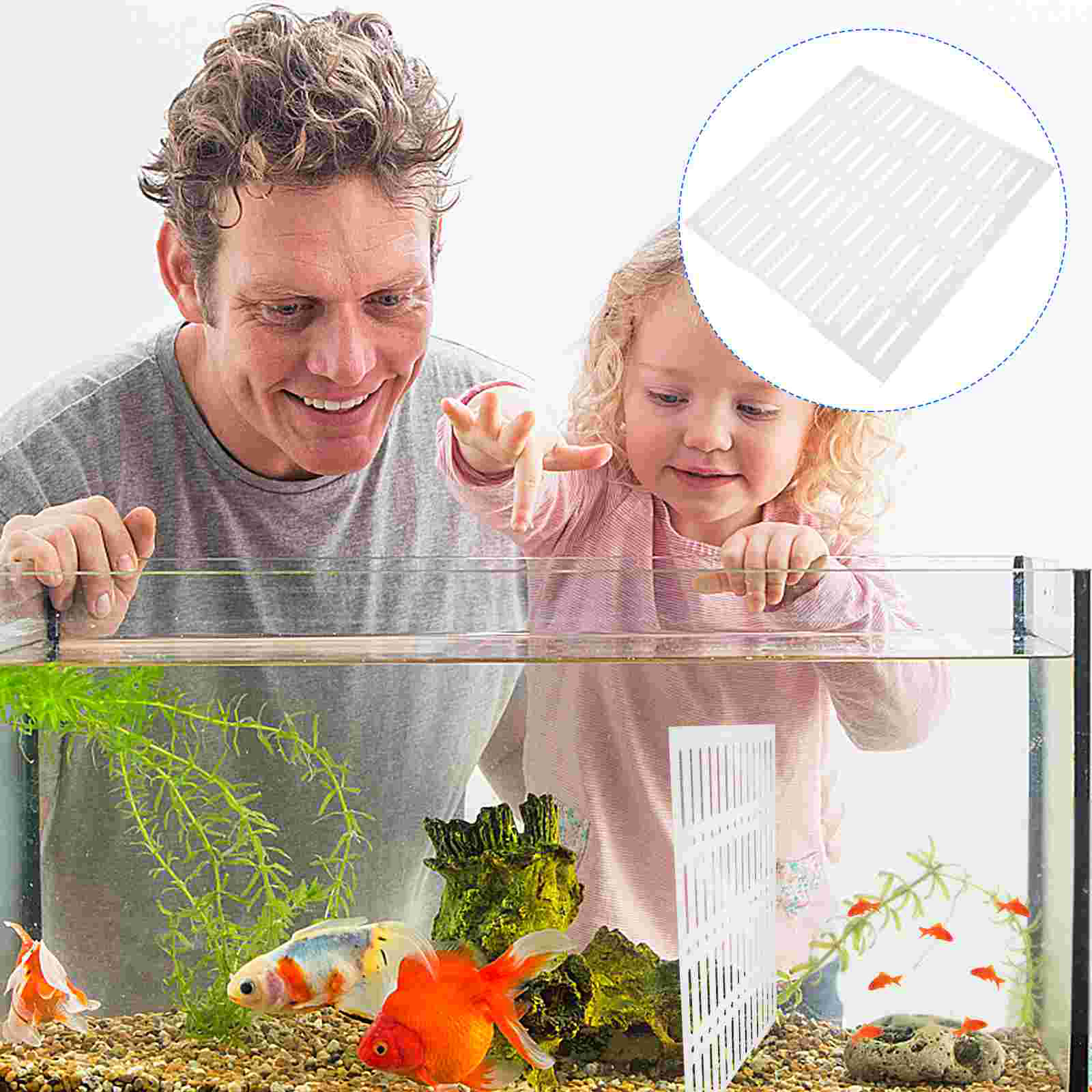 Fish Tank Isolation Board Water Case Partition Aquarium Plate Acrylic Divider Bowl