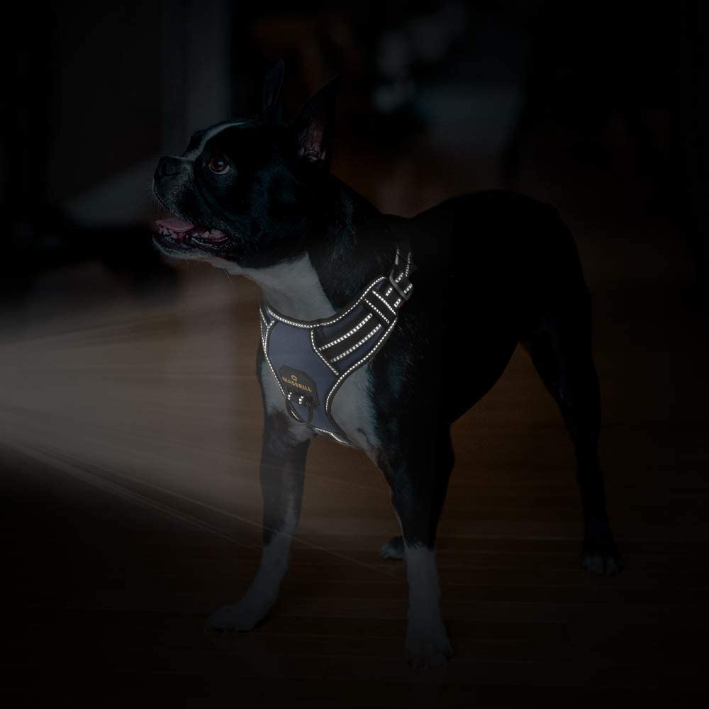 MASBRILL Dog Harness No Pull Nylon Adjustable Reflective Dog Vest Harness 2 Metal Leash Hooks Easy Control Handle Walking
