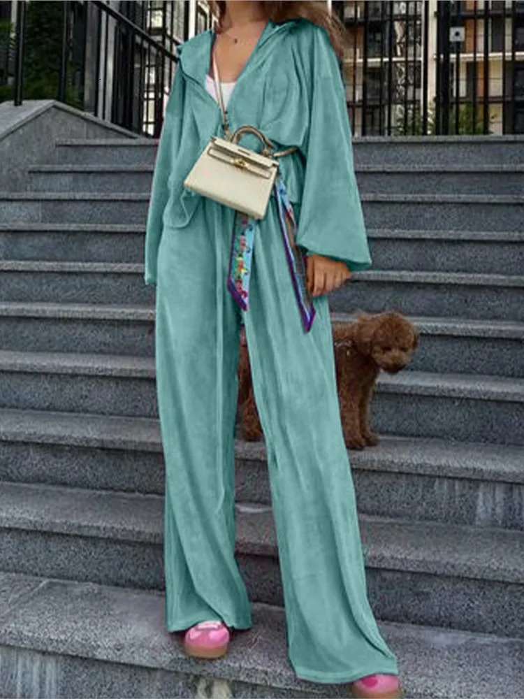 Solid Color Velvet Pants Sets Women Fashion Zipper Hoodie High Waist Drawstring Trousers Two Piece Set Female Autumn Winter 241008