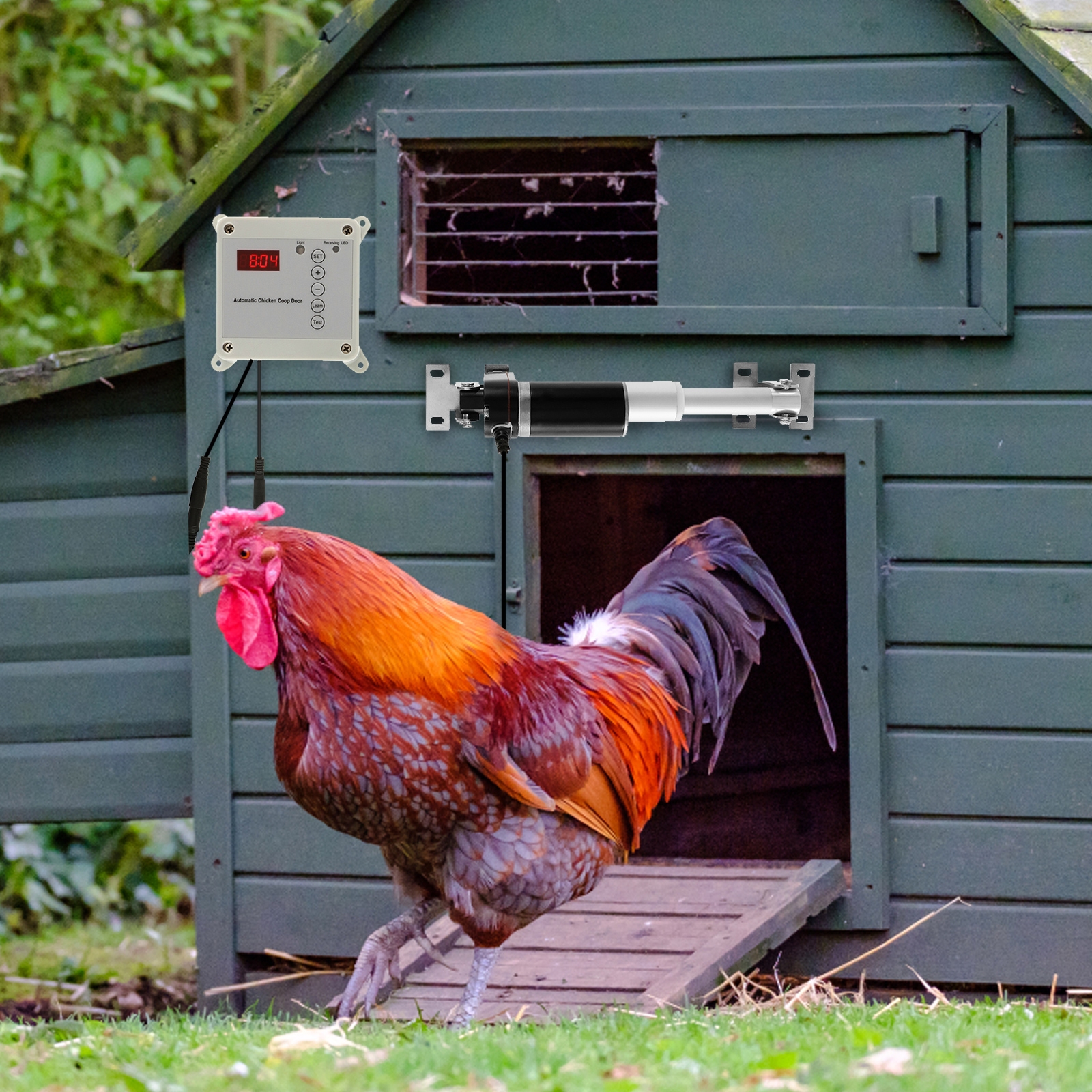 Automatic Chicken Coop Door Opener House Door Opening Side Opening Timer Adjustable Light Sensor Rainproof Outdoor Farm Remote
