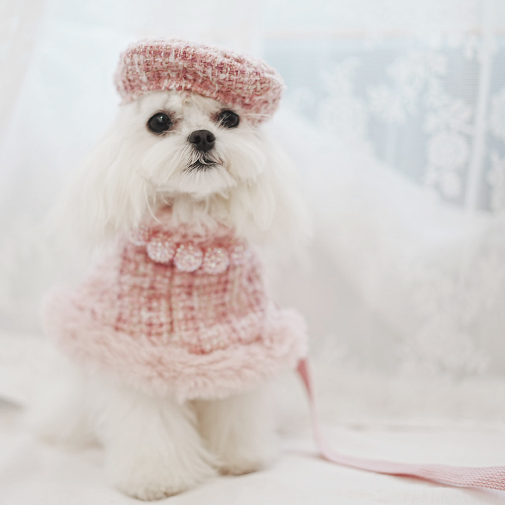 Small dog pink cloak chic designer puppy clothes winter warm dog clothes with leash hat