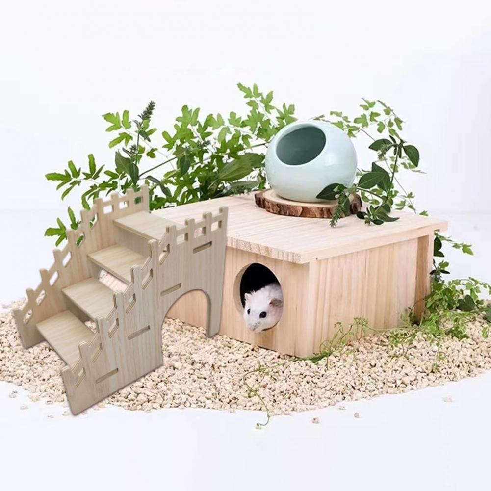 Stable Hamster Toy Waterproof Sports Training Pet Accessory Guinea Pig Hamster Ladder Climbing Toy